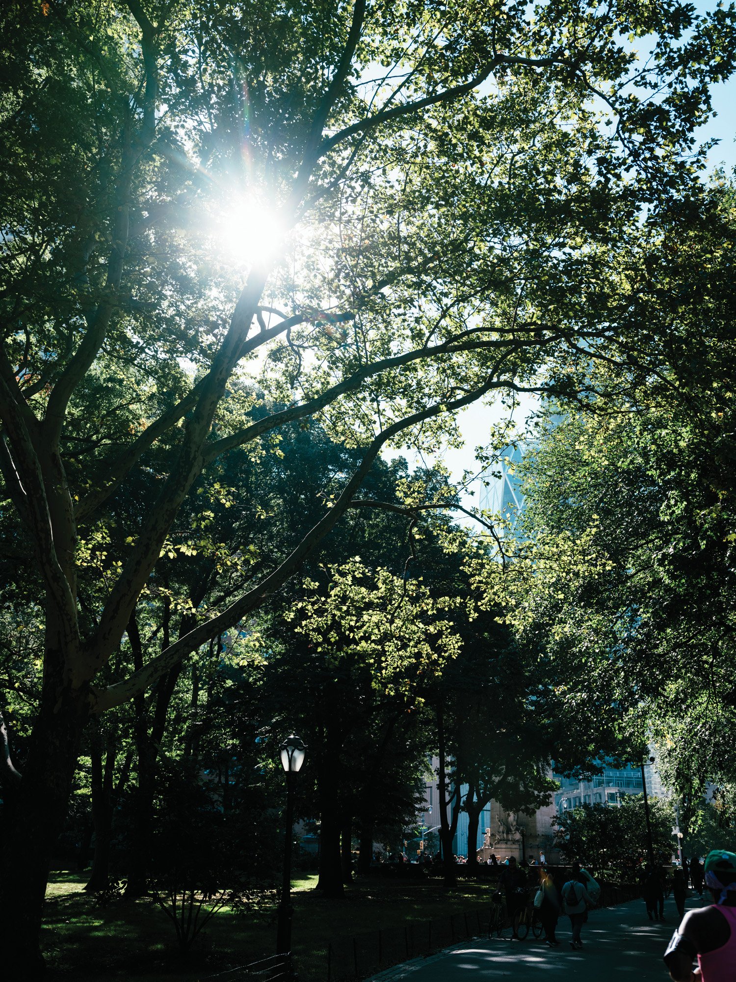 Central Park is One of Many Popular Destinations Available to Waldorf Astoria Hotel Guests